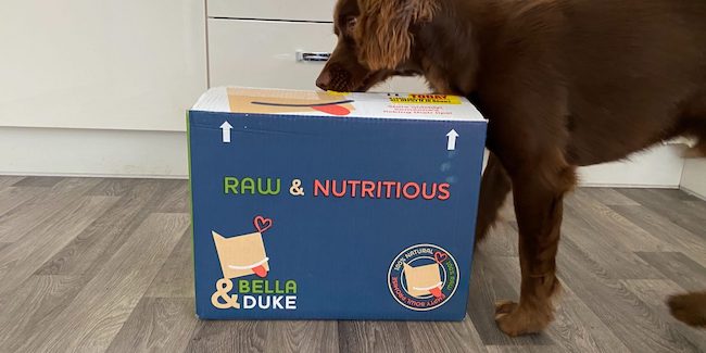 Pet food brand Bella & Duke secures £7m funding