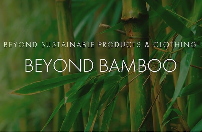 Sustainable tech start-up Beyond Bamboo launches Ethical Accreditation for sellers