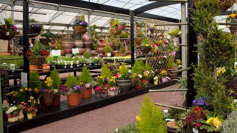 British Garden Centres posts strong sales increase