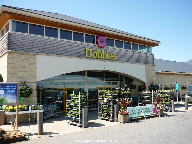 Dobbies appoints new CEO
