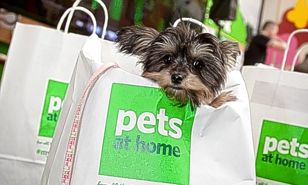 Pets at Home maintains full-year guidance
