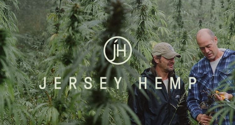 Jersey Hemp aims to raise £6M through Seedrs and private placement