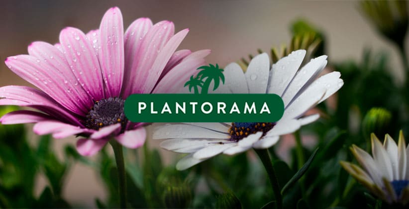 Garden centre Plantorama to accelerate data-driven and personalised marketing