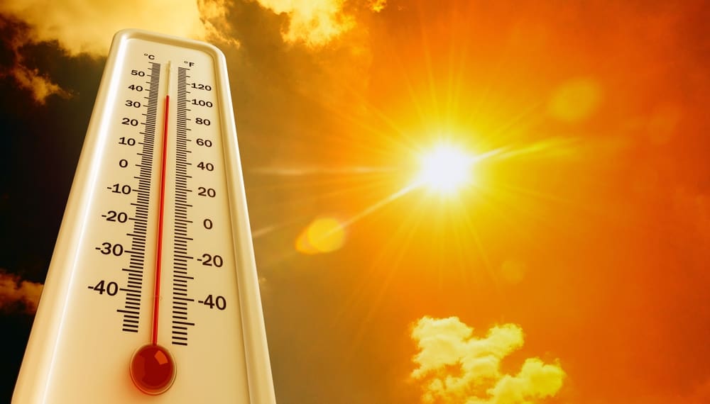 UK heatwave drives a surge in impulse sales