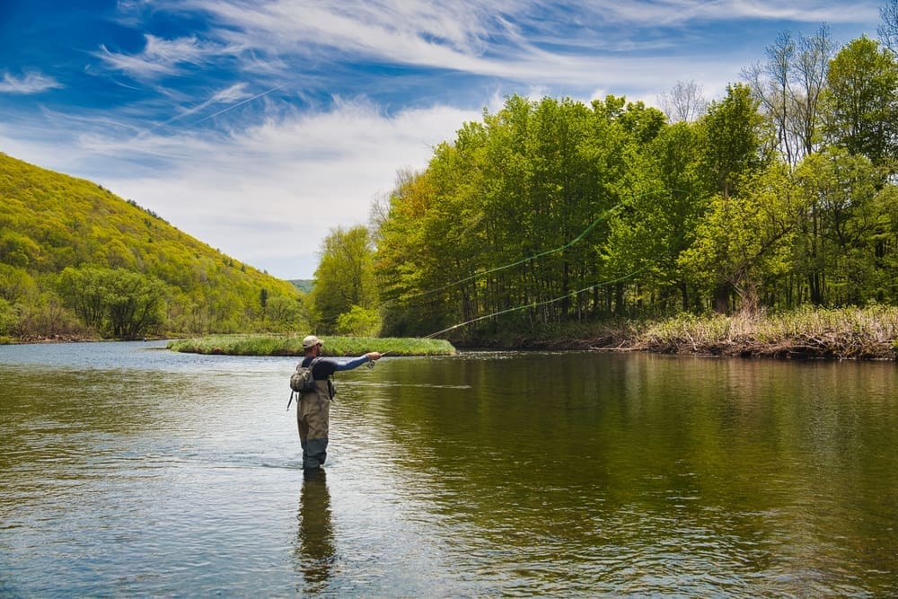 Angling Direct PLC achieves record UK sales for FY26