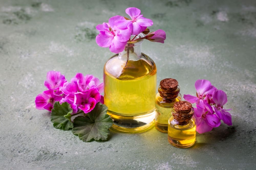 The Organic Pharmacy founder Margo Marrone buys back the brand